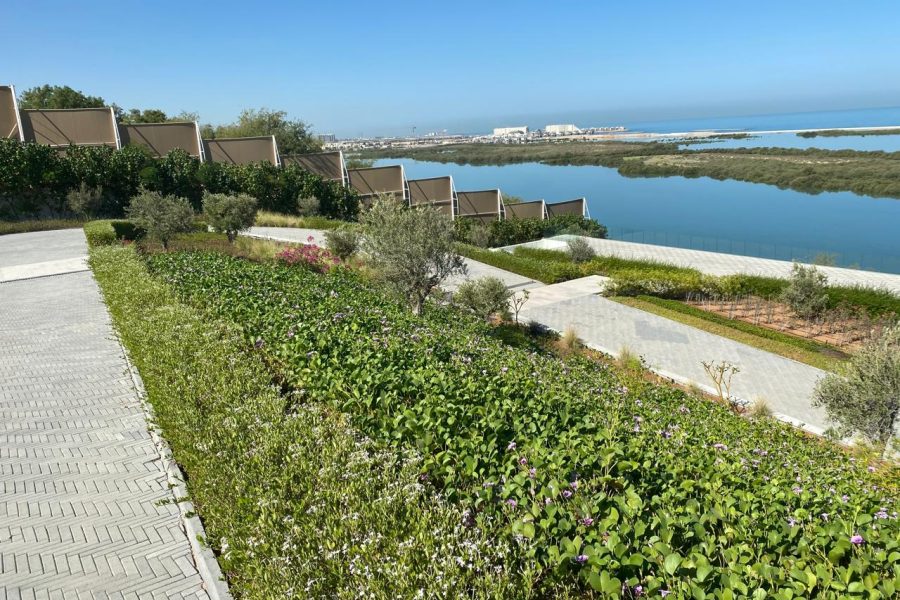 WhatsApp Image 2025-08-31 at 5.06.16 PM-15