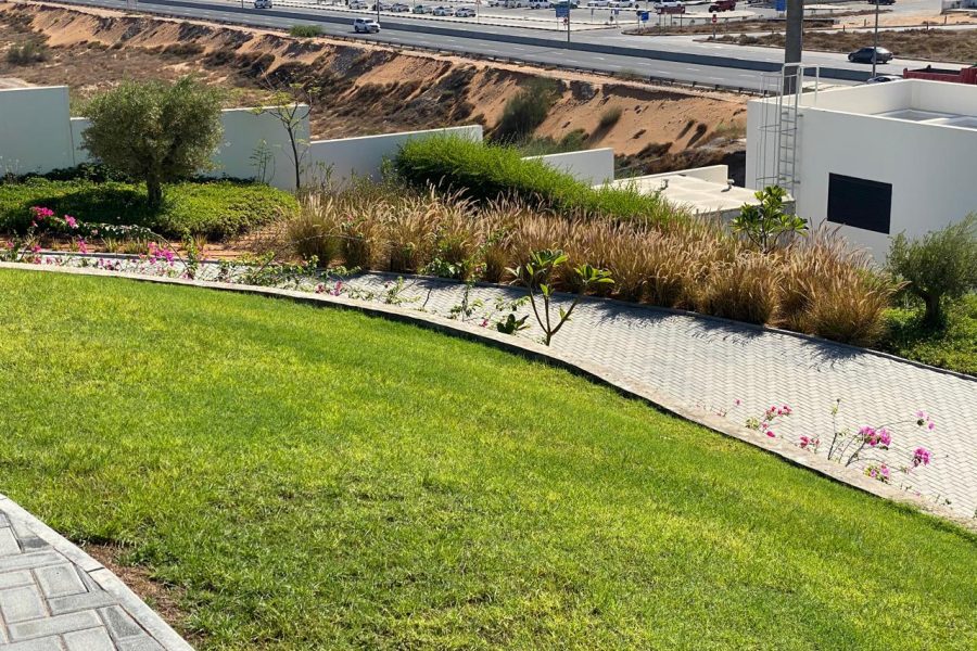 WhatsApp Image 2025-08-31 at 5.06.16 PM-2