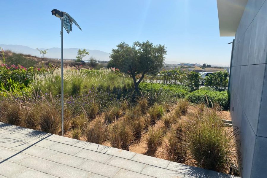 WhatsApp Image 2025-08-31 at 5.06.16 PM-6